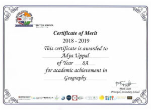 Grade 8-Academic Achievement in Geography