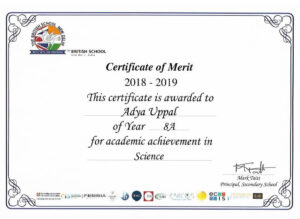 Grade 8-Academic Achievement in Science